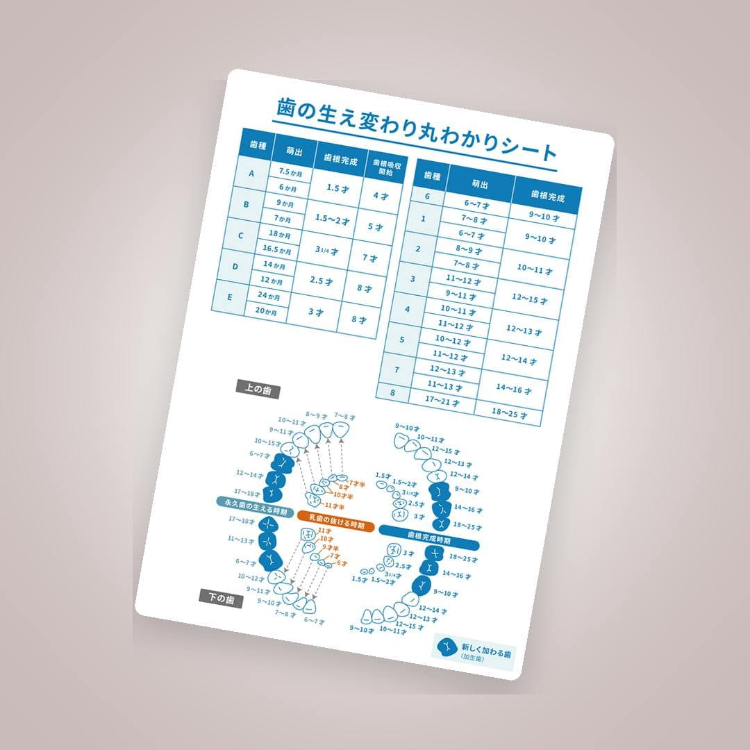 永久歯の生え方と注意点が一目でわかる！ 歯の生え変わり丸わかりシート