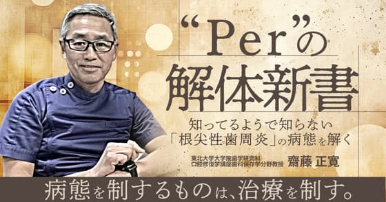 ”Per”の解体新書