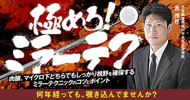 極めろ！ミラーテク