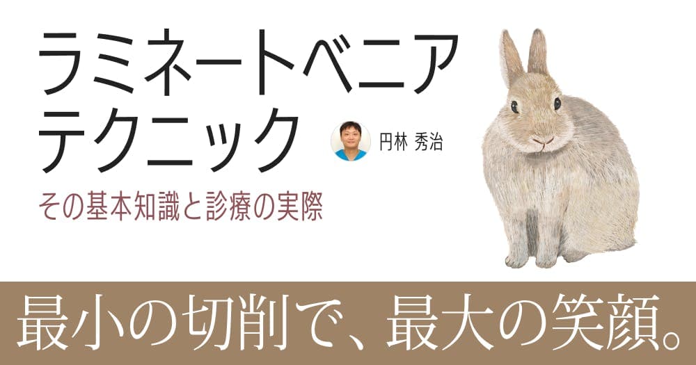 ラミネートベニアの基本テクニック - 基礎知識・はじめかた・診療のポイントとは？
