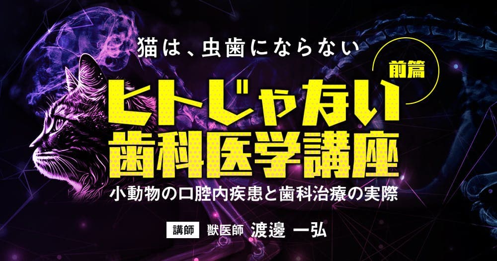 ヒトじゃない歯科医学講座【前編】