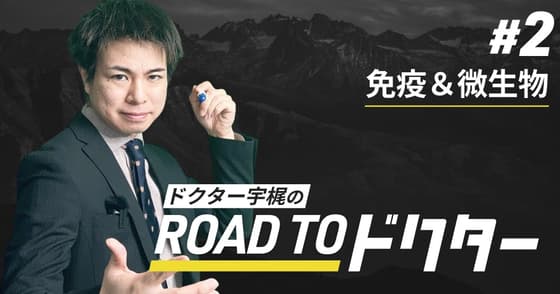【国試対策】ココで差がつく「免疫・微生物」