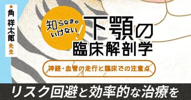 知らなきゃいけない、下顎の臨床解剖学