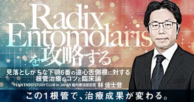 Radix Entomolarisを攻略する