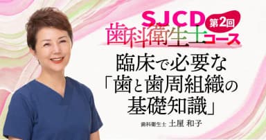 【第2回】臨床で必要な「歯と歯周組織の基礎知識」