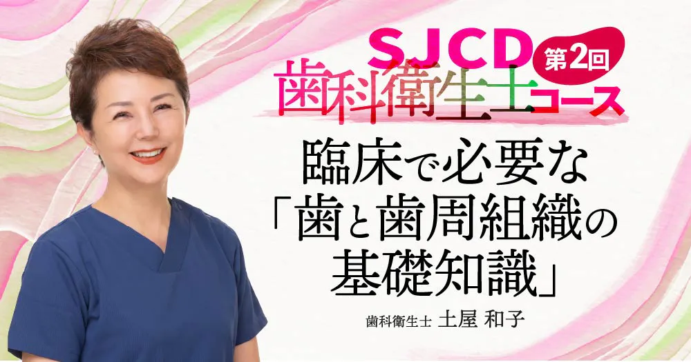 【第2回】臨床で必要な「歯と歯周組織の基礎知識」