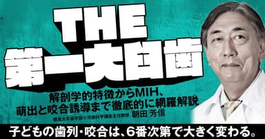 THE 第一大臼歯