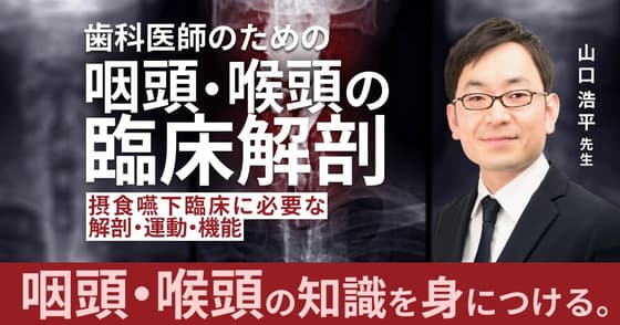 歯科医師のための咽頭・喉頭の臨床解剖。摂食嚥下に関連する知識を解説